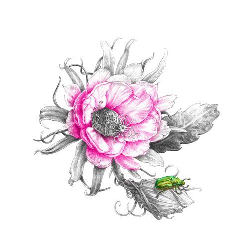 LaFantastique Logo